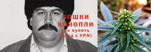 стаф Волоколамск