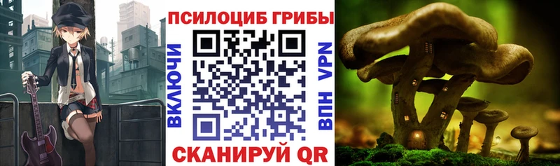 Псилоцибиновые грибы мицелий  Купить  Боровск 